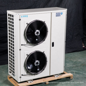 Outdoor Refrigeration r407c air cooled frozen condensing unitFor Cold Room